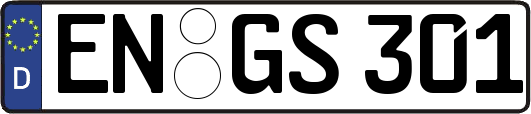 EN-GS301