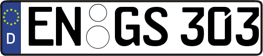 EN-GS303