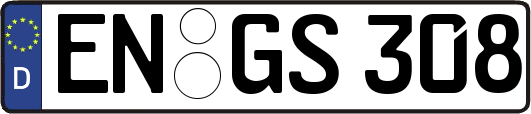 EN-GS308