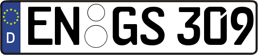 EN-GS309