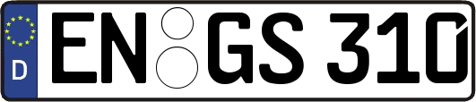 EN-GS310