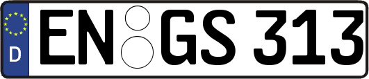 EN-GS313