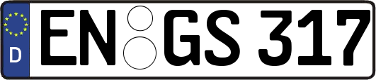 EN-GS317