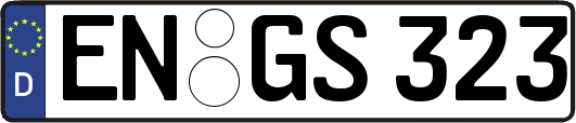 EN-GS323