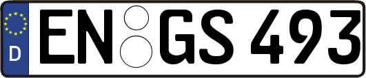 EN-GS493