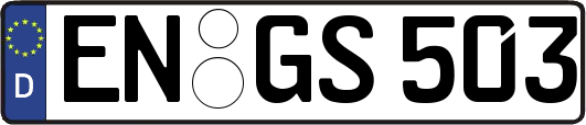 EN-GS503