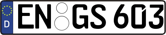 EN-GS603