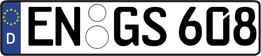 EN-GS608