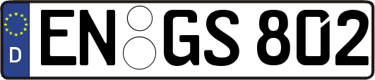 EN-GS802