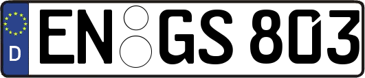 EN-GS803