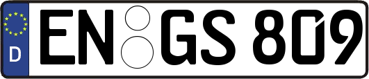 EN-GS809