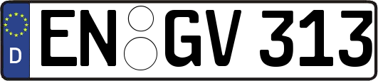 EN-GV313
