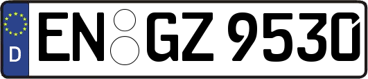 EN-GZ9530