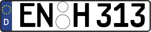 EN-H313