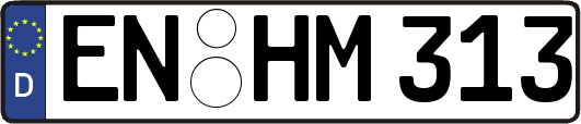 EN-HM313