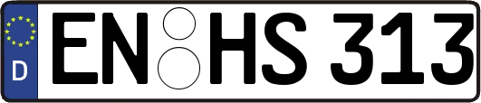 EN-HS313