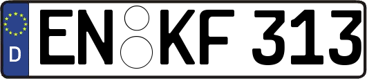 EN-KF313