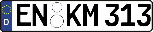 EN-KM313