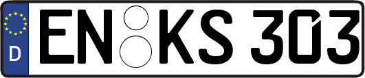 EN-KS303