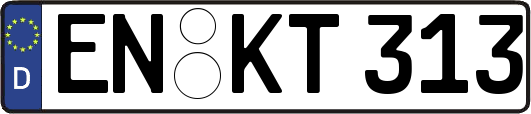 EN-KT313
