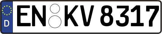 EN-KV8317