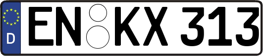 EN-KX313