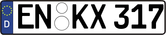 EN-KX317