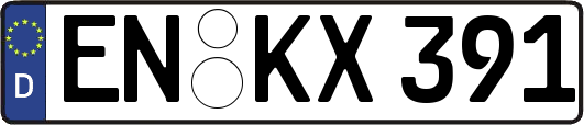 EN-KX391