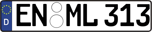 EN-ML313