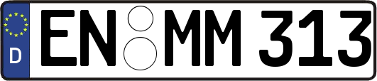 EN-MM313