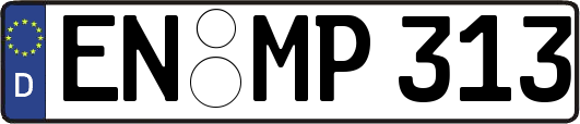 EN-MP313