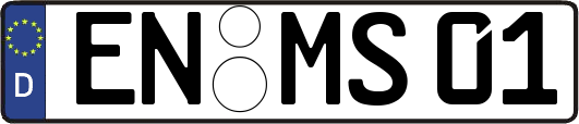 EN-MS01