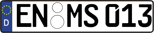 EN-MS013