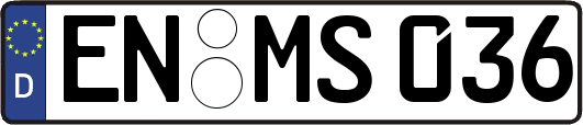 EN-MS036