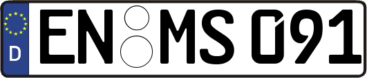 EN-MS091