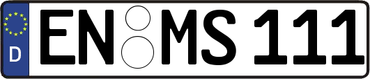 EN-MS111