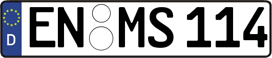 EN-MS114