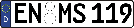EN-MS119