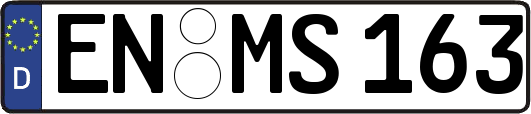 EN-MS163