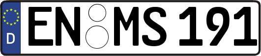 EN-MS191