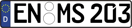 EN-MS203