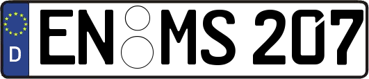 EN-MS207