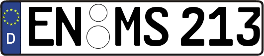 EN-MS213