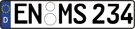 EN-MS234