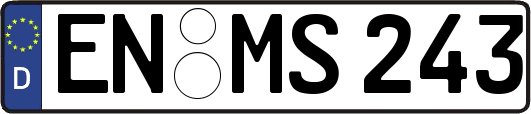 EN-MS243