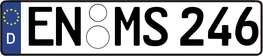 EN-MS246