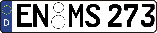 EN-MS273