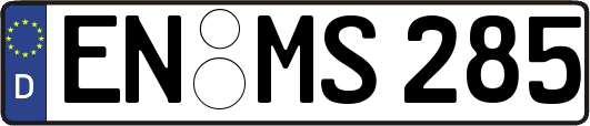 EN-MS285
