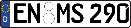 EN-MS290