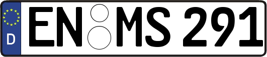 EN-MS291